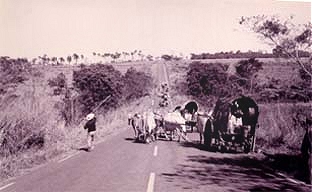 Foto: Silvana Nascimento - Romeiros de Moss�medes a caminho do santu�rio de Trindade, 1997