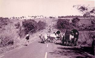 Foto: Silvana Nascimento - Romeiros de Mossâmedes a caminho do santuário de Trindade, 1997